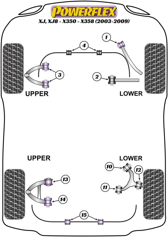 Powerflex Road - XJ, XJ8 - X350 - X358 (2003 - 2009) - Rear Upper Arm Front Bush - PFR27-614